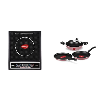 pigeon cruise induction cooktop