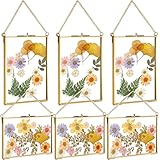 Treela 6 Pieces Pressed Flower Frames Brass Double Glass 5 x 7 Inch Wedding Gold Floating Hanging Photo Clear Horizontal and Vertical Frames with Chain for Gallery Pictures Vintage Artwork Display