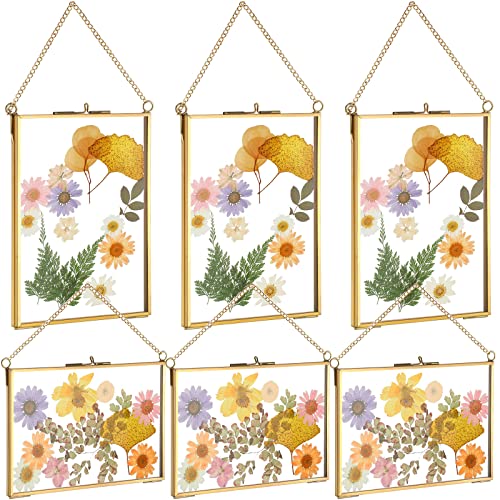 6 Pieces Brass Double Glass Frame 5 X 7 Inch Gold Floating Hanging Photo Frame Clear Horizontal And Vertical Pressed Flower Frames With Chain For Gallery Pictures Vintage Artwork Display #TOP5