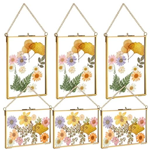 6 Pieces Brass Double Glass Frame 5 x 7 Inch Gold Floating Hanging Photo Frame Clear Horizontal and Vertical Pressed Flower Frames with Chain for Gallery Pictures Vintage Artwork Display
