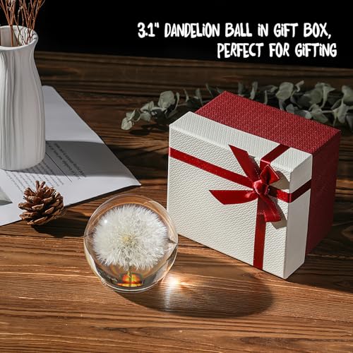 1st Heaven Dandelion Paperweight in Crystal – Real Preserved Dandelion, Symbol of Hope, Luck, or New Beginnings – Elegant Gift with Gift Box & Card (3.1 in) - Thumbnail 4