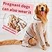 Selena Dog Rainwear Hooded Clear Waterproof Jacket Pregnant Large Raincoat Pet Outdoor Apparel (X-Large,Clear)
