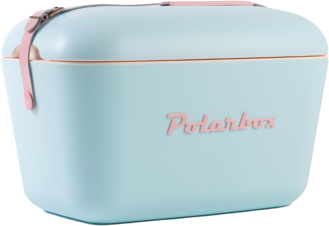 PolarboxRetro Beach Cooler Vintage Picnic Lunch Box Bag Portable Cooler Travel Camping Hiking 90s Style Ice Chest Extra Large Lightweight for Cans Beers & Seltzer Drinks 20L (Sky Blue Rose)