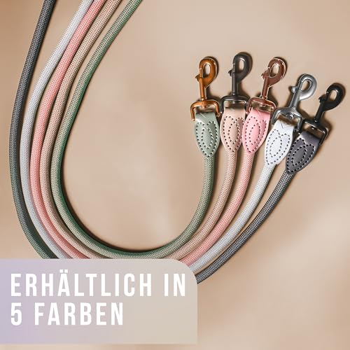 ne&no Tauleine 1.7m (leicht dehnbar) für mittelgroße bis ganz große Hunde I Trainingsleine I Hundeleine robust I Führleine rund, geflochten I Seil Leine Hund I Cityleine I Dog Leash Taupe, 170 cm