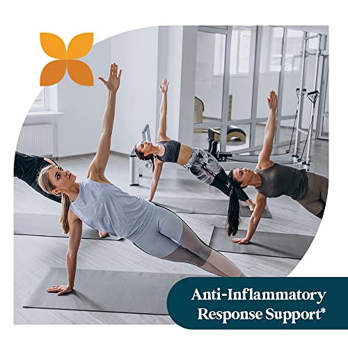 Pattern Wellness 2-Pack Multivitamin & Quercetin Supplements - Energy & Wellness Support - Cardiovascular & Cholesterol Health - 120 Vegan Capsules #TOP3