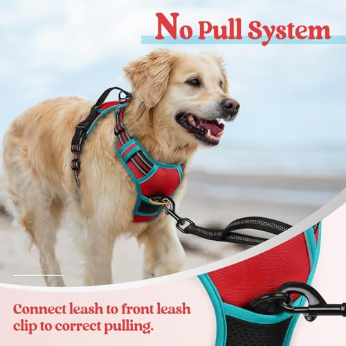 Image of rabbitgoo Dog Harness No Pull with 2 Leash Clips, Adjustable Soft Padded, Reflective Oxford No Choke Pet Vest with Easy Control Handle for Small Dogs, Red & Teal, S