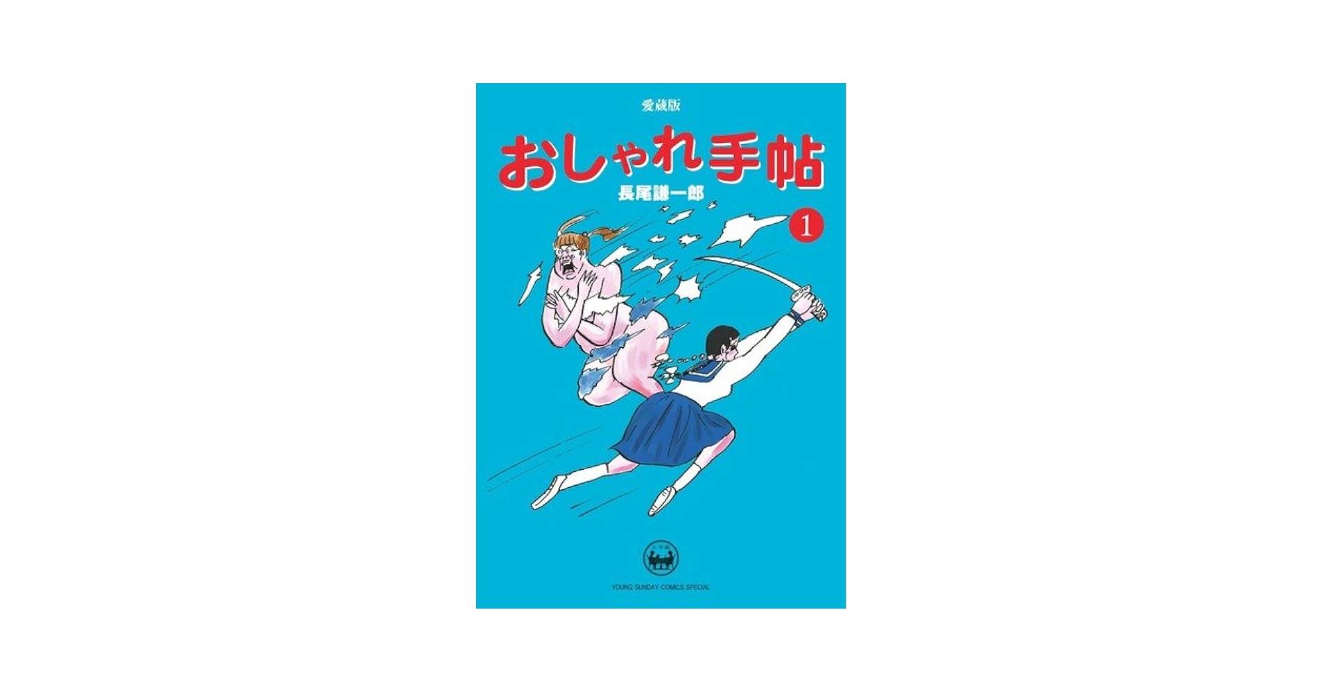 おしゃれ手帖 全10巻セット　長尾謙一郎　ヤングサンデー　小学館 小学館 ヤングサンデーコミックス 長尾謙一郎 おしゃれ手帖 全10