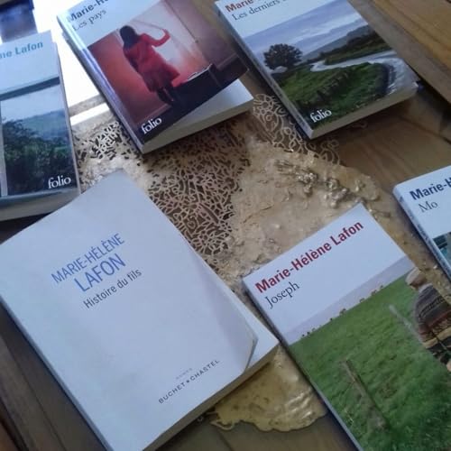 Marie-Helene Lafon apporte son "Histoire du fils" &agrave; la prison de Riom