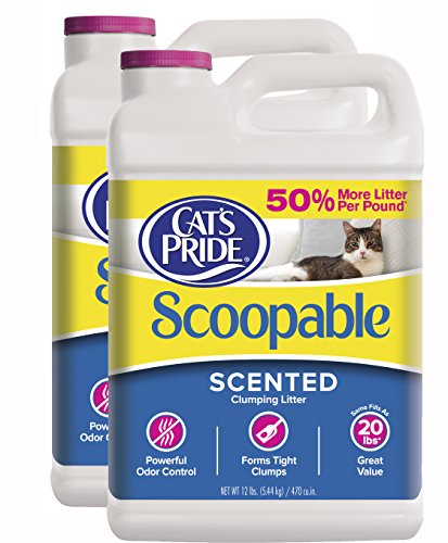 Scented Lightweight Cat Litter 12 lb Jug (2-Pack)