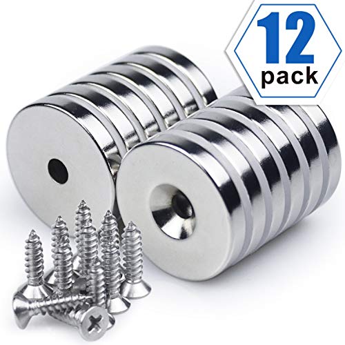 Neodymium Disc Countersunk Hole Magnets, 1.26 inch x 0.2 inch Strong Permanent Rare