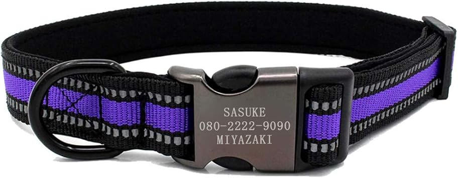 Amazon Differhand 犬首輪 迷子札付き 光反射材料採用 夜の散歩 名入れ 名札付き カスタマイズ 犬首輪 小型犬 中型犬 大型犬 愛犬のお名前 連絡電話 飼い主のお名前刻印可能 M パープル 首輪だけ Differhand ベーシック首輪 通販