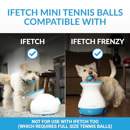 iFetch Mini-Tennisbälle, klein
