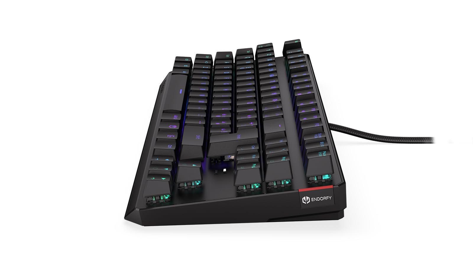 ENDORFY Thock TKL IT Brown, switch Kailh Brown, tastiera meccanica TKL 80%, layout Italiano, keycaps in ABS, EY5G003