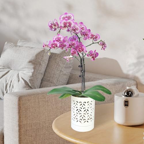pavtner Orchid Pots with Holes,4 Inch Ceramic Orchid Pot for Repotting, Flower Planter Pot Indoor Outdoor, Breathable Slotted Orchids Planter White by pavtner - Image 4