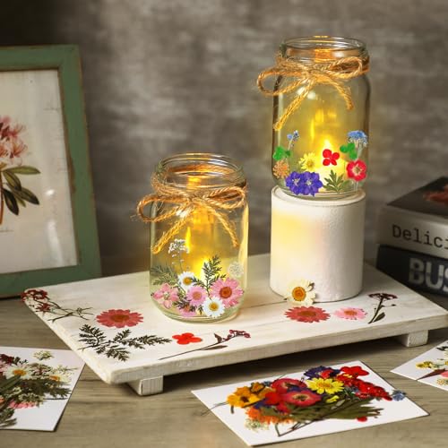 Set DIY de 12 Frascos Mason con Flores Secas miniatura 4