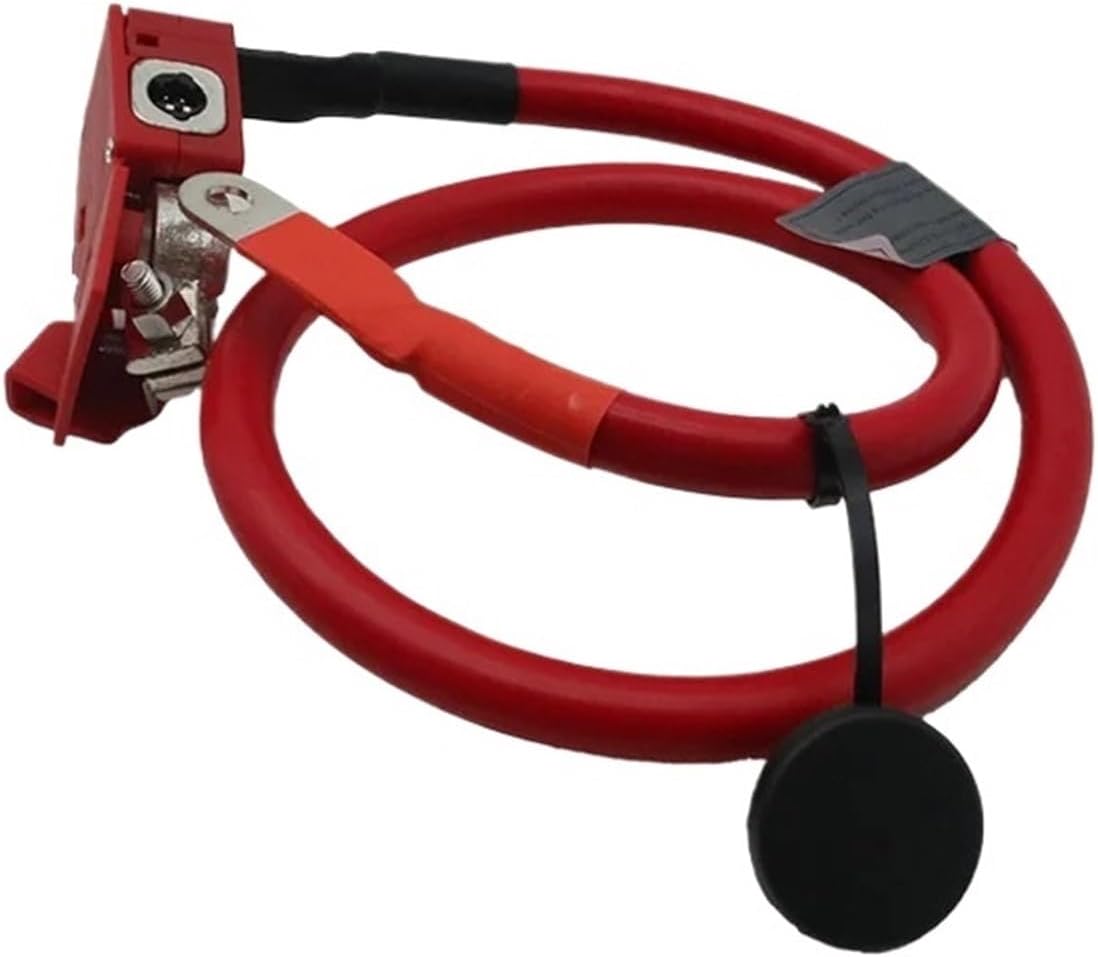 61126998059 Auto Parts Positive Battery Fuse Wire