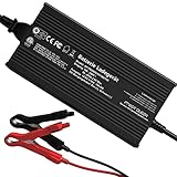 14,6 V 10 A LiFePO4 Batterien Ladegerät