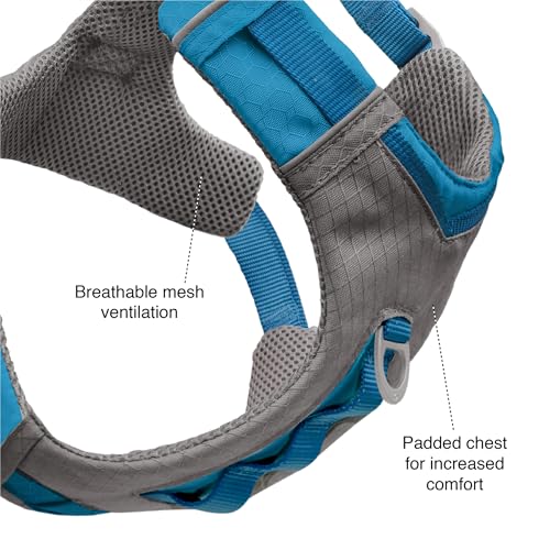 Kurgo Journey Air Dog Harness - Secure Fit for Active Dogs - Padded Chest - Lightweight Ripstop Fabric - Breathable Mesh - Reflective Trim - Back Assist Handle - Coral - Large - Image 4