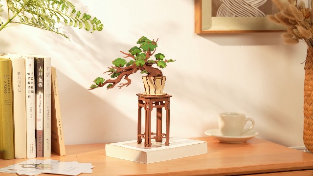 Amazon.com: Wowood 3D Wooden Puzzle for Adults - Evergreen Pine