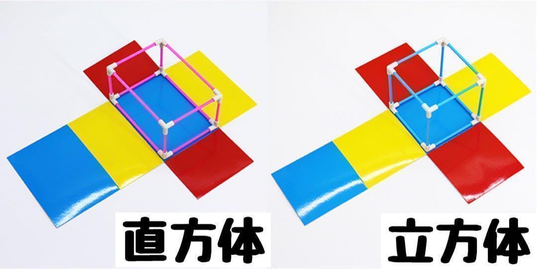 Amazon.co.jp: 展開図 立体 知育玩具 中学受験 高校受験 入学