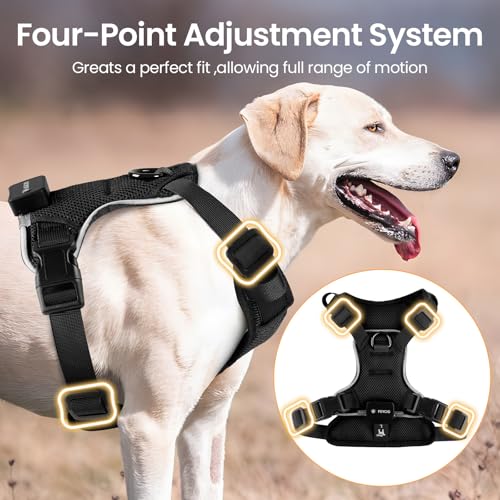 Light Up Dog Hundegeschirr Leuchtend LED Aufladbar - Leuchtgeschirr Leuchtend für Klein Mittelgroße Grosse Hund, Reflektierende Brustgeschirr Beleuchtetes Hundegeschirr, 4-Punkt Verstellbar,Schwarz,L