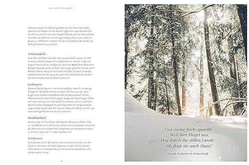 Zeit statt Zeug: Der achtsame Adventskalender: 24 Tage voller Freude, Besinnlichkeit und Selbstfürsorge