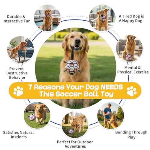 Image of Dog Soccer Ball with Straps, 6 Inch for Small and Medium Dogs, C