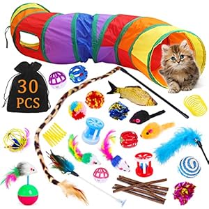 Juguetes para Gatos,30 Piezas Juguetes para Paquete de Variedad para Gatitos,Juguetes Gatos Tunel,Juguetes para Gatos Plumas,Set de Juguetes para Gatos,Ratóns y Bolas Varias para Gatos