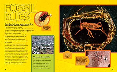 Ultimate Bugopedia: The Most Complete Bug Reference Ever (National Geographic Kids) - Image 2