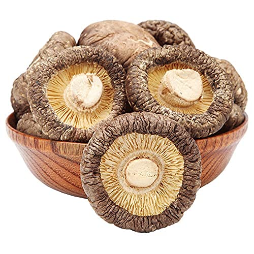 Fungo commestibile secco Shiitake I funghi invernali sono deliziosi e nutrienti (500g)