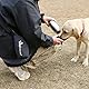 VIVAGLORY 750 ml Edelstahl Trinkflasche für Hunde & Neopren Flaschenträger Kombination, Hundetrinkflasche und Wasserflaschenhalter, Ideal für Wandern, Reisen mit Haustieren