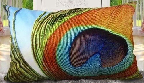 Fablegent XH101 - Elegant Decorative Throw Pillow Cover - Rectangular Peacock Feather Fashion Design on Both Sides - Soft Velvet Fabric