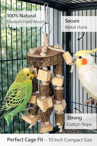 Image of KSK Natural Wood Bird Chewing & Foraging Hanging Accessory for Budgies, Cockatiels & Parrots | Wooden Cage Activity Block (10 Inch)