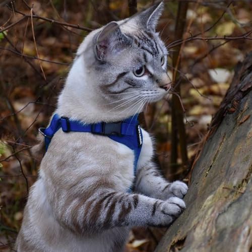 Image of Voyager Escape-Proof Step-in Lock Cat Harness & 5ft Neoprene-Handle Leash Set All-Weather Mesh with Reflective Stitching for Small to Large Cats by Best Pet Supplies, Royal Blue, XXS
