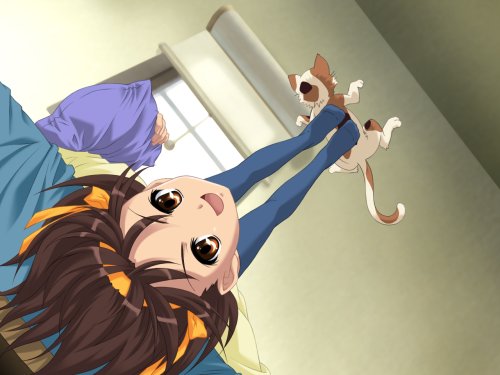 涼宮ハルヒの戸惑の関連画像7