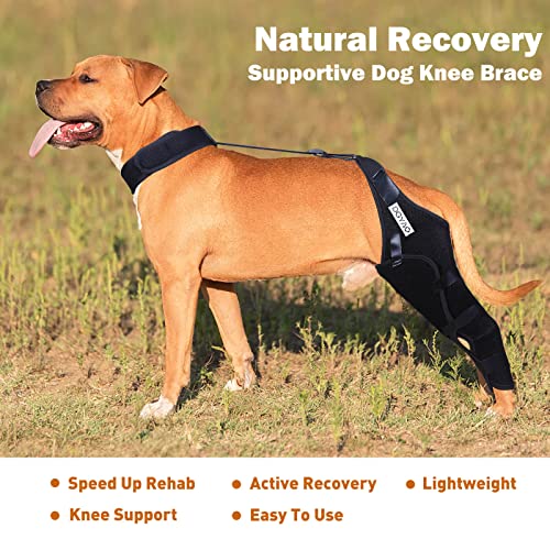 Image of Dog Knee Brace for ACL, Knee Cap Dislocation, Arthritis - Full Wrap - Easy Adjustable - Extra Support - Reduces Pain and Inflammation - Full Sizes