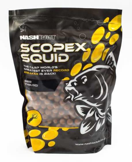 OUTDOORDINO Nash Scopex Squid Boilies - Fish Meal Boilies in Various Sizes - Carp Boilie Fishy for Low Temperatures (1 kg, 15 mm)