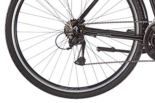 serious cedar hybrid