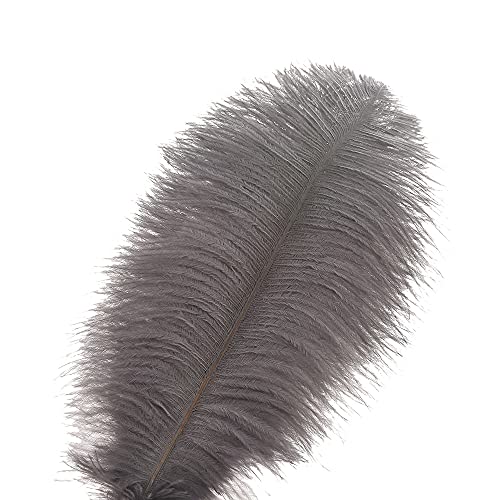 image for Ballinger Natural Gray Ostrich Feathers - 24pcs 10-12inch for Wedding 