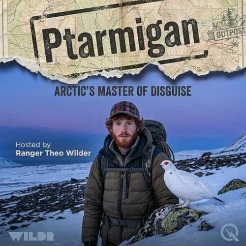 Ptarmigan cover art