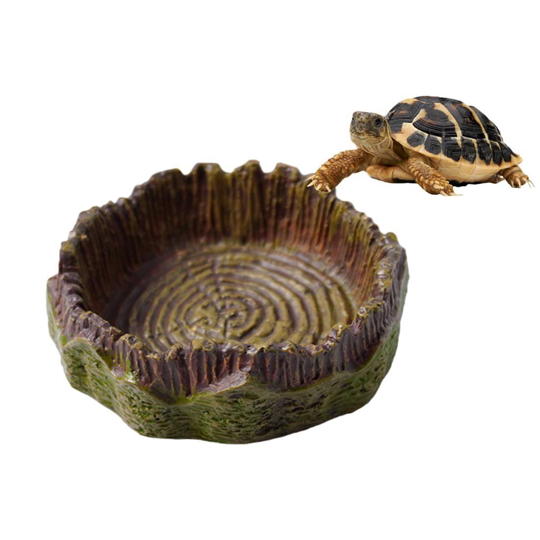UIEXEA Terrario Tortugas Tierra, Cuencos Agua y Comedero Para Reptiles Amarillo, Accesorios para Tortuga Gecko Serpiente