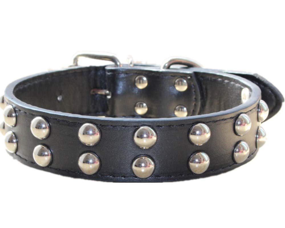 Collier chien cuir à pointes pour balades urbaines de grands chiens S