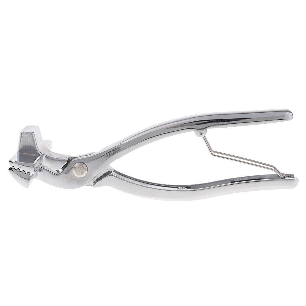 Lot de 2 pinces professionnelles à large goulot de 6 cm de large pour étirer la toile