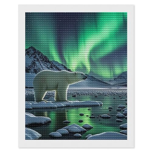 Kit peinture au diamant anti-stress : toile adhésive 5D facile pour débutant et adulte