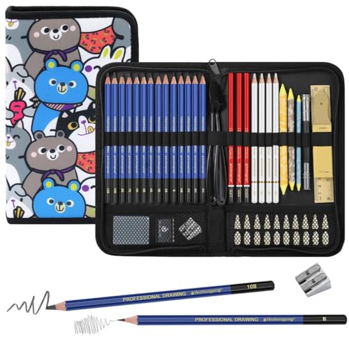 Daerthotk 53 PCS Drawing Kit Sketching Pencil Set, Sketch Pencils Art Supplies with Graphite, Charcoal, Blending Tools, Drawing Pencils for Artists Adults Beginner Family Friends