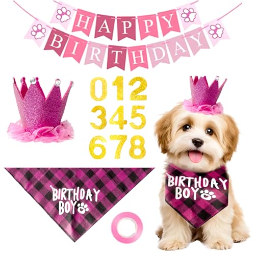 LIEVUIKEN  ap[eB[pi  a __i nbg    ^ nbs[o[Xf[ oi[  ybg ߑ L[g p[eB[ fR[V K[ XJ[tAsN