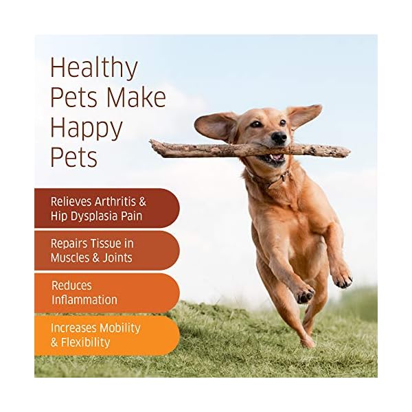 Glucosamine-for-Dogs-Hip-and-Joint-Supplement-Dogs-Glucosamine-Chondroitin-for-Dogs-with-MSM-Hemp-Turmeric-Omega-3-Dog-Hip-and-Joint-Supplement-Dog-Pain-Relief-120-Soft-Dog-Joint-Chews Glucosamine-for-Dogs-Hip-and-Joint-Supplement-Dogs-Glucosamine-Chondroitin-for-Dogs-with-MSM-Hemp-Turmeric-Omega-3-Dog-Hip-and-Joint-Supplement-Dog-Pain-Relief-120-Soft-Dog-Joint-Chews