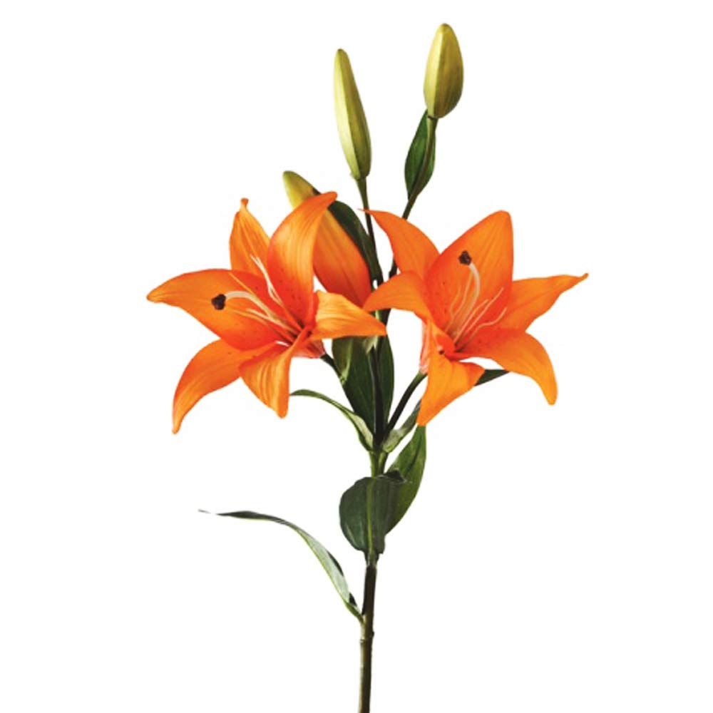 Floristrywarehouse Orange Tiger Lily Stem Artificial Flowers 86Cm