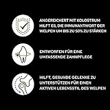 Pro Plan Pro Plan PURINA PRO PLAN LARGE ATHLETIC PUPPY mit OPTISTART reich an Huhn