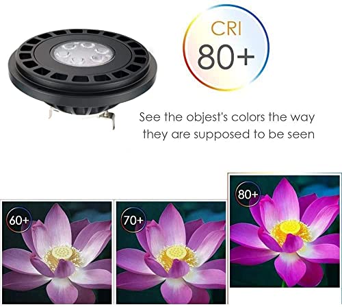 Makergroup Par36 Landscape Led Light Bulb 10W 12V Low Voltage Waterproof Spotlight For Outdoor Yard Lighting Tree Light, In-Ground Well Light, Daylight White 5000K #TOP6